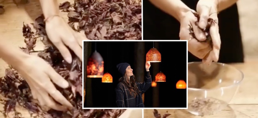 Credits: Flipflop Collective "Le foglie raccolte in autunno a Bolzano diventano lampade di design"